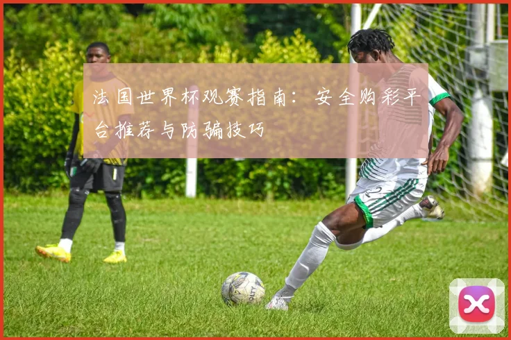 法国世界杯观赛指南：安全购彩平台推荐与防骗技巧